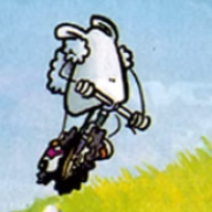 User profile picture